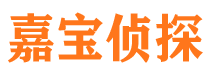 南充市私家侦探